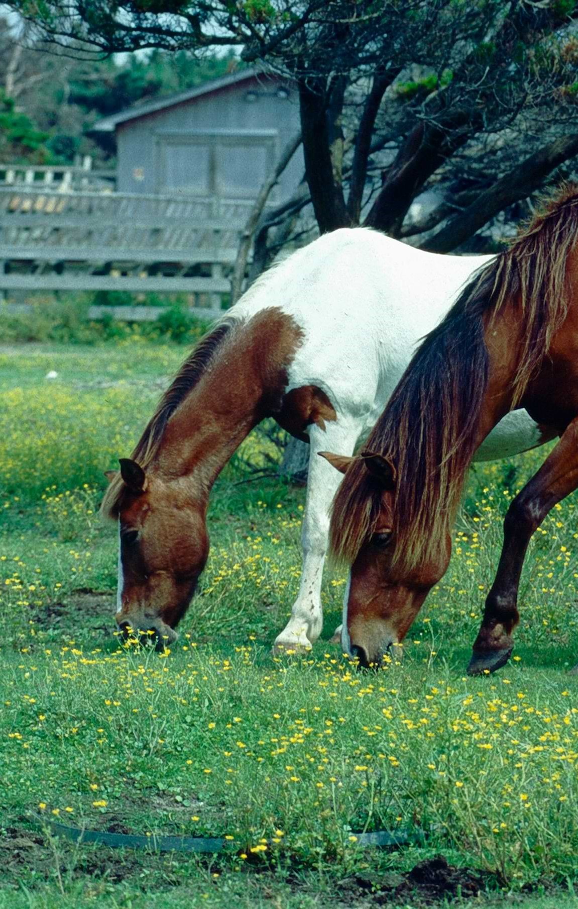 Things to Do callout