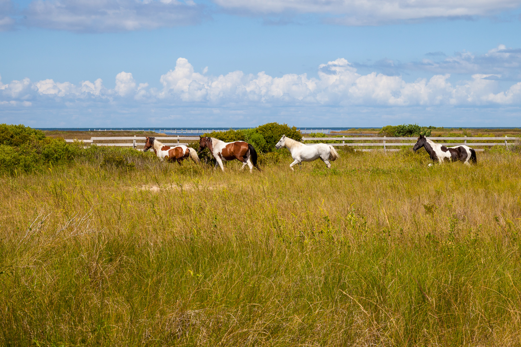 Thing To Do Attractions & Experiences